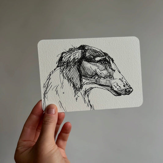 Pen sketch dog portrait of a bozoi hound on a postcard