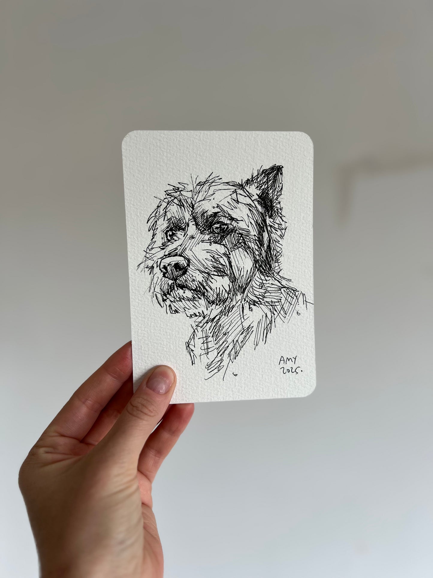 Smart Westie postcard