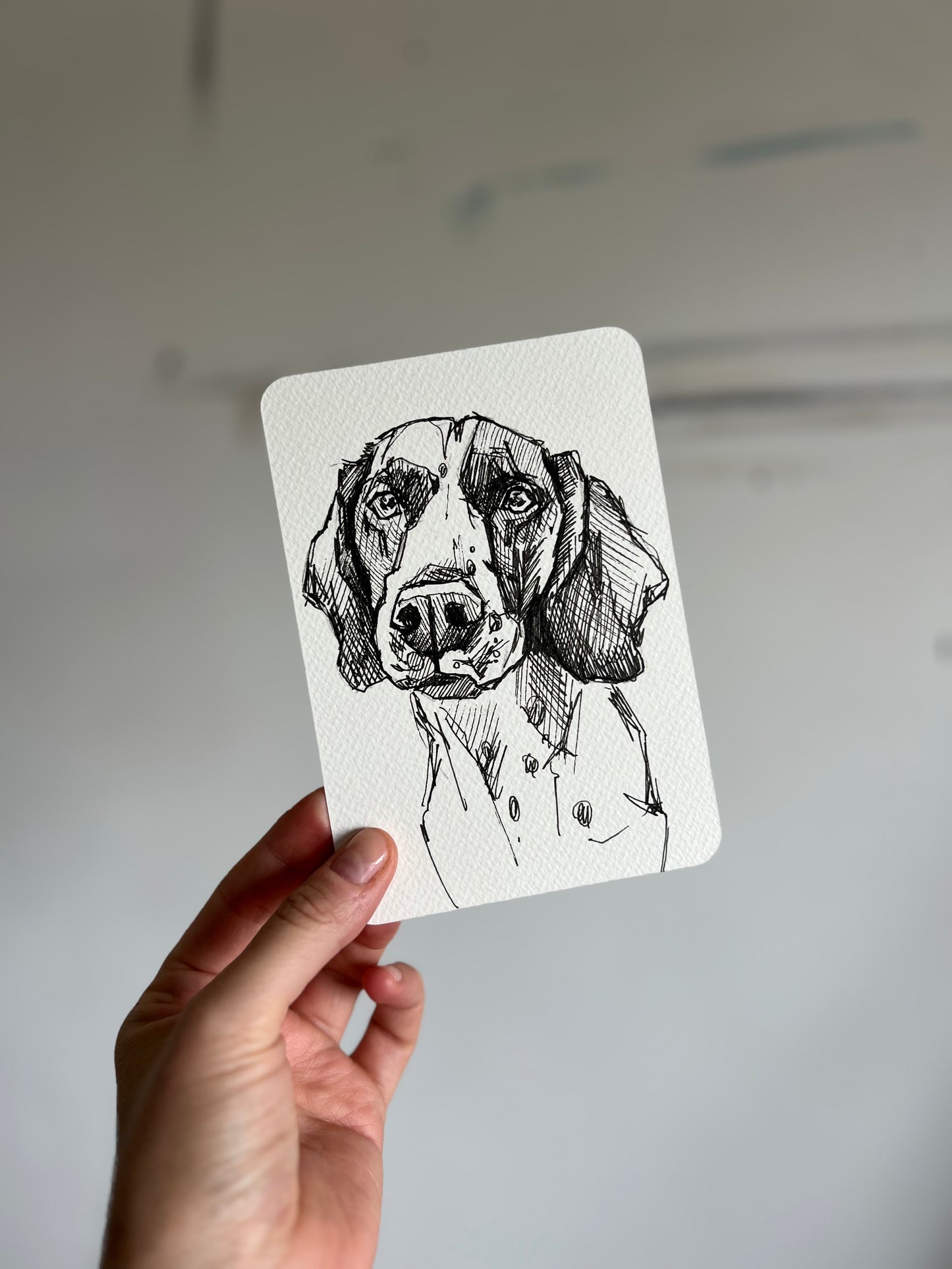 Original Spaniel postcard