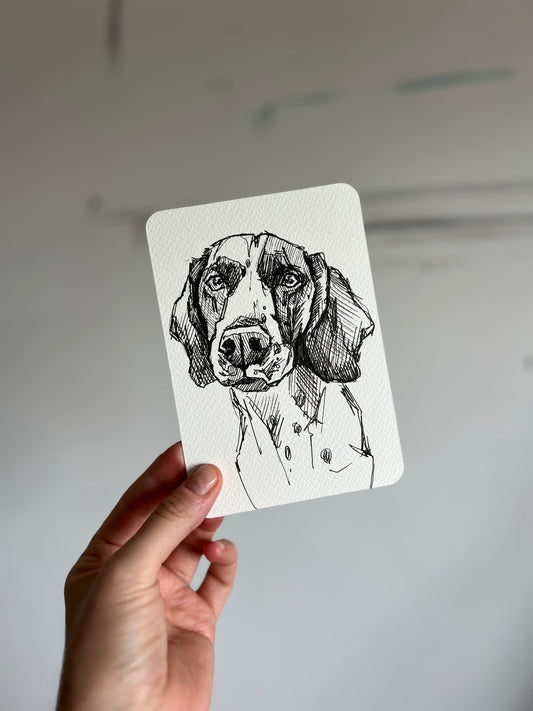 Original Spaniel postcard