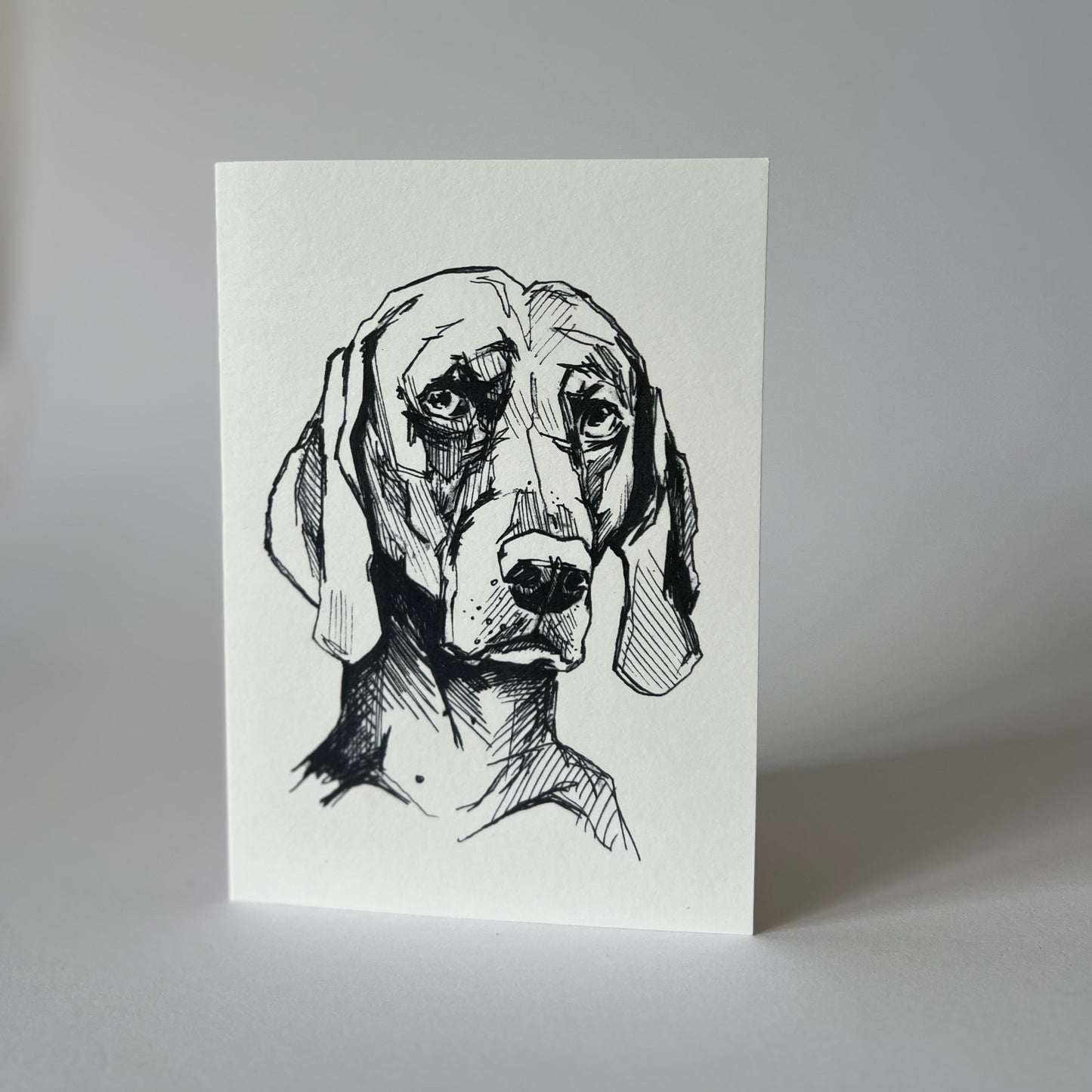 Weimaraner greetings card