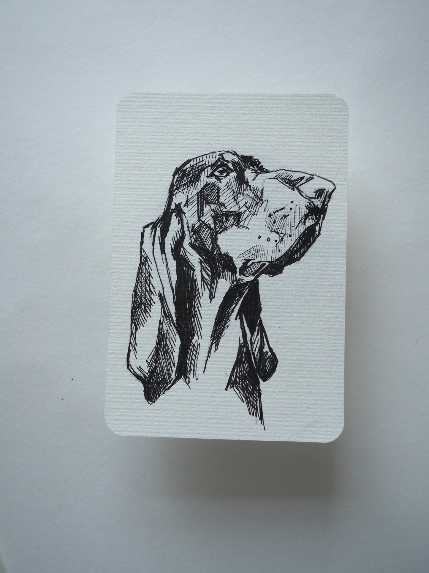 10.5x15.0cm dog sketch commission