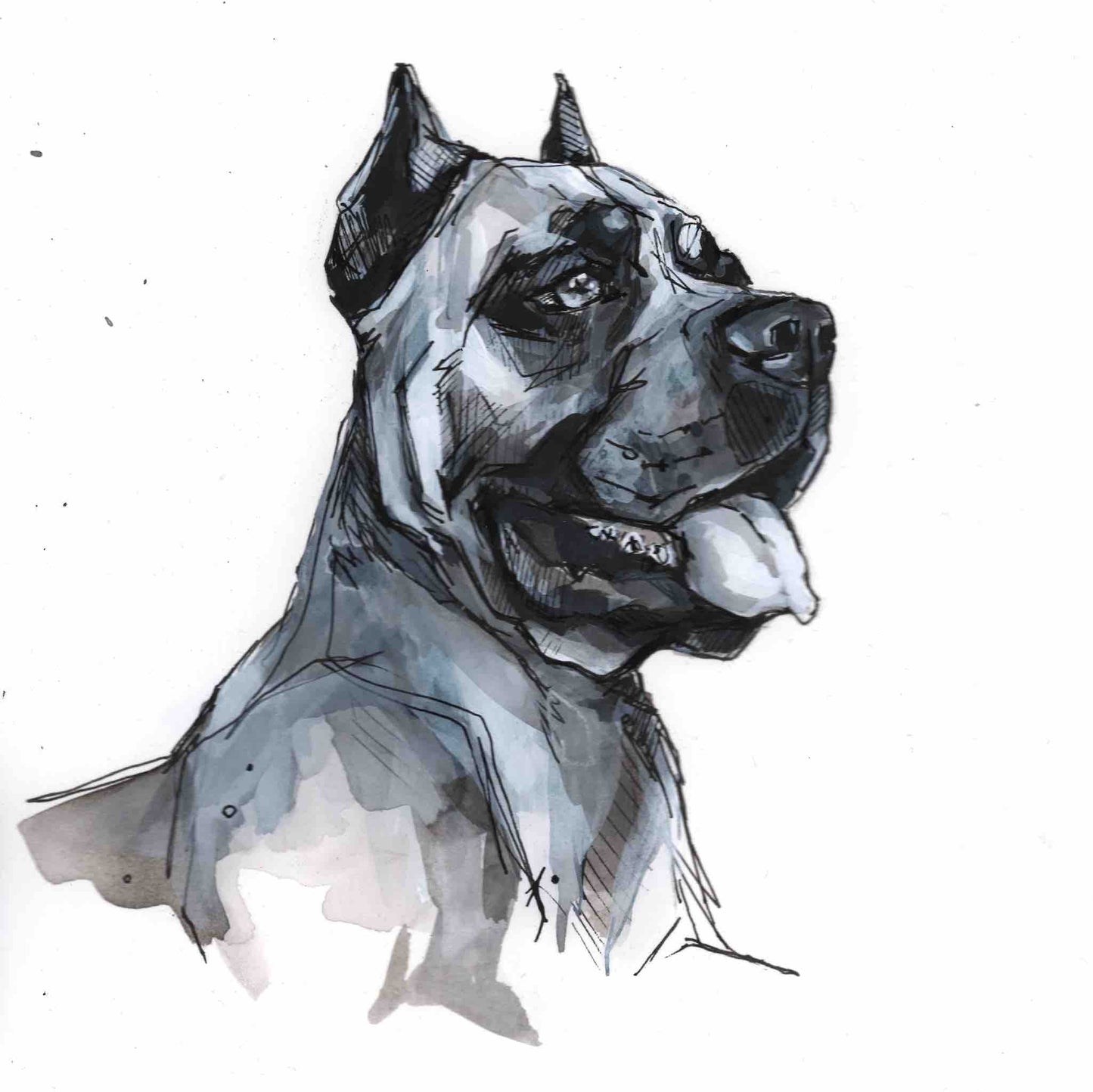 20.0x25.0cm dog portrait