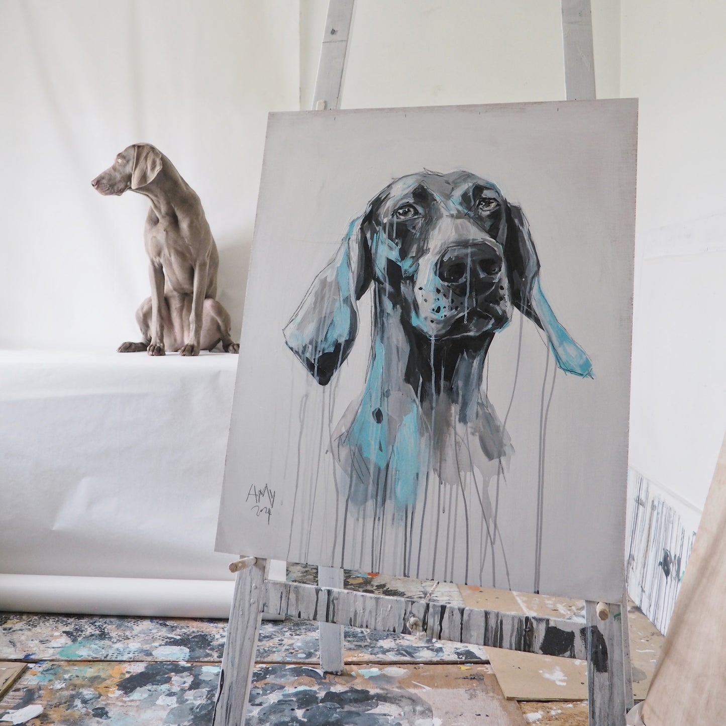 A weimaraner sitting in an artists studio for a live dog portrait painting