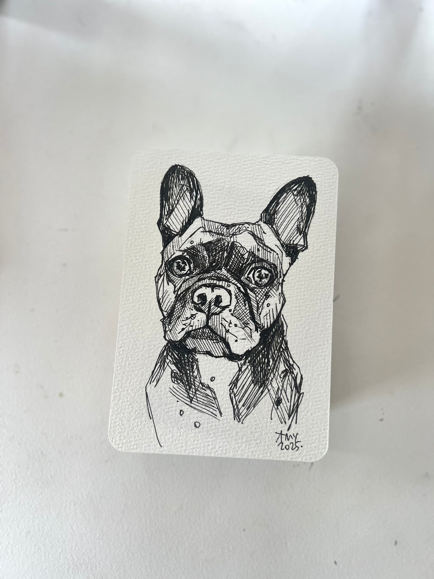 Friday frenchie postcard