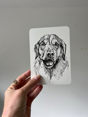 Molly drawing