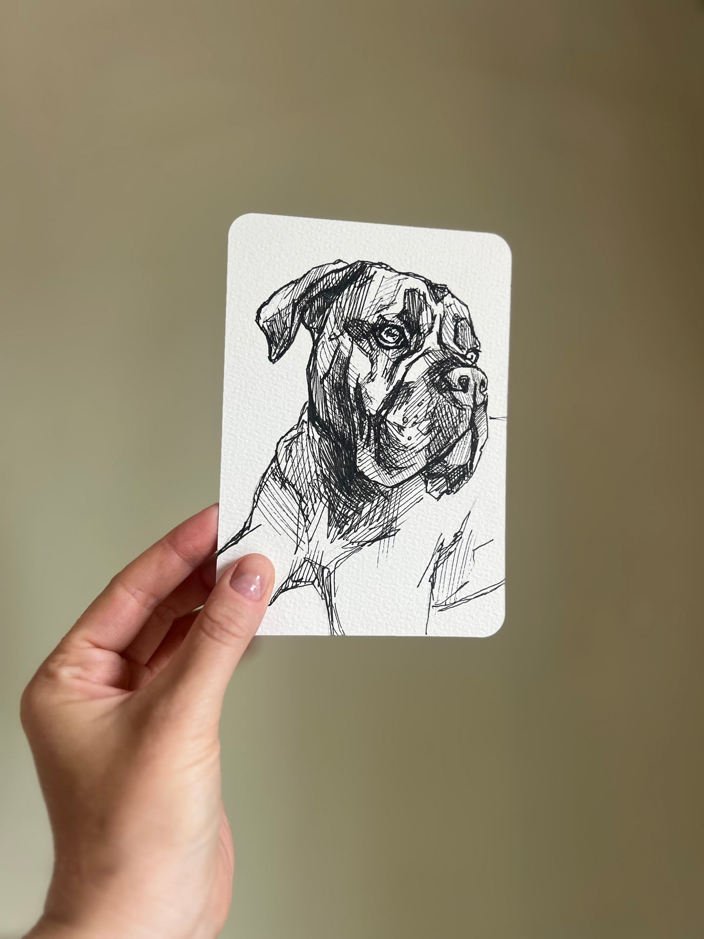 Cane corso 1.0 postcard
