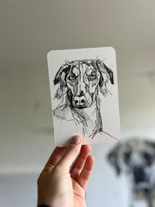 Lawrence postcard