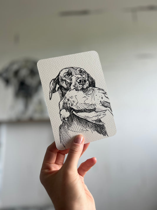 Bird dog postcard