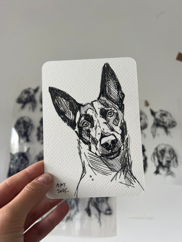 Riot postcard