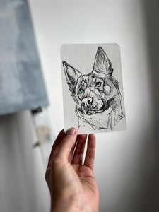 Freya postcard
