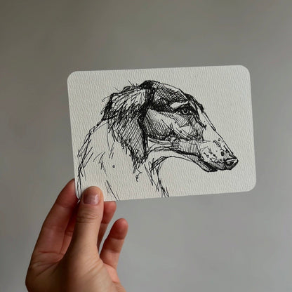 Pen sketch dog portrait of a bozoi hound on a postcard
