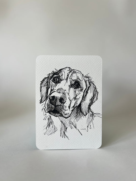 Goldie energy postcard