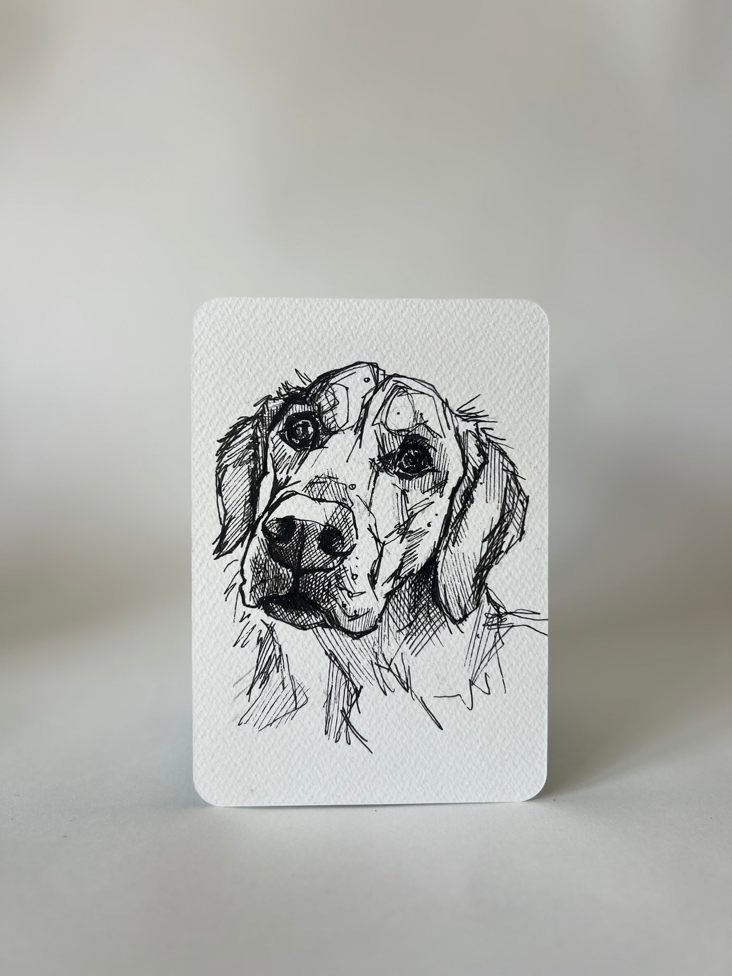 Goldie energy postcard