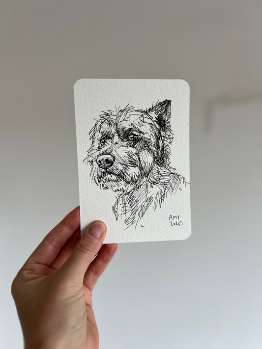 Smart Westie postcard