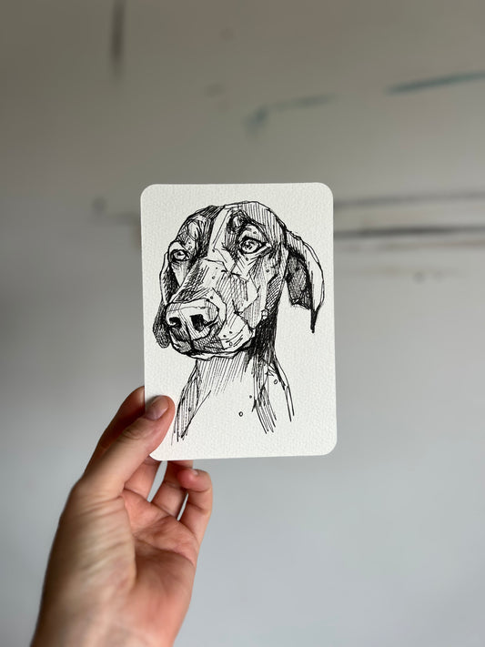 Original Vizsla postcard