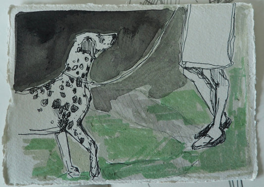 a moment from Crufts
