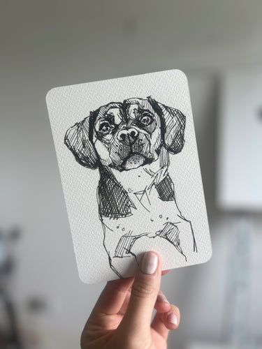 Lola dog postcard