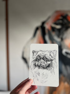 Bear postcard