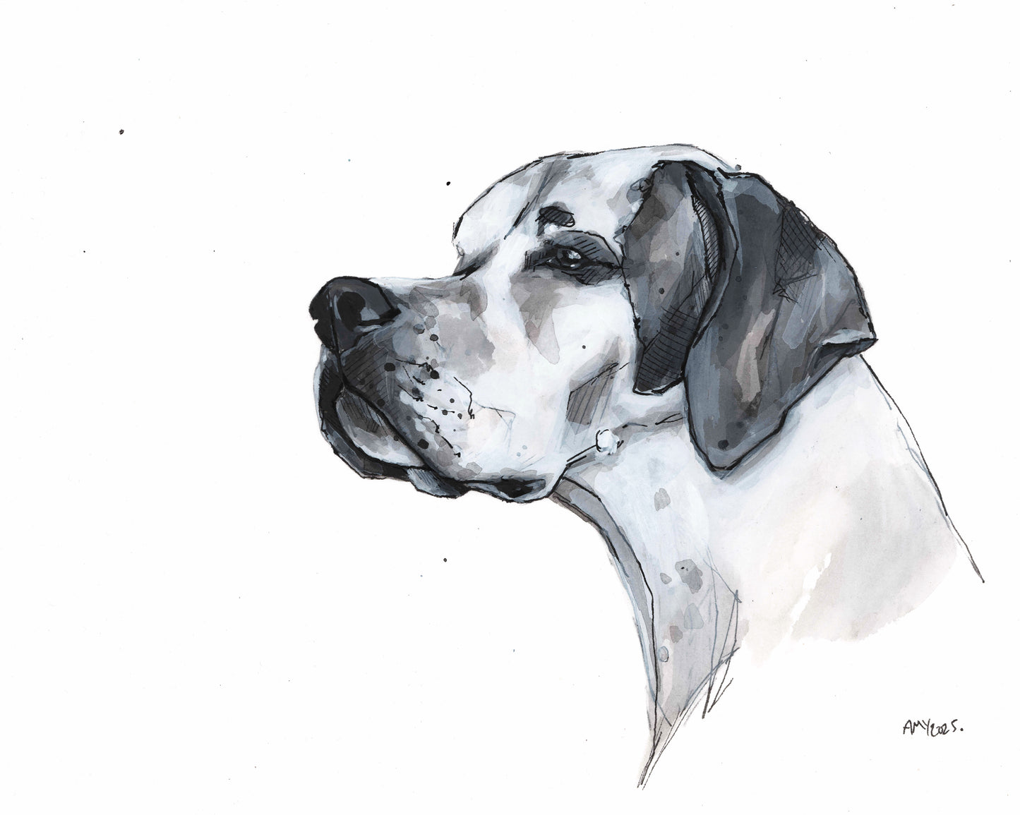 20.0x25.0cm dog portrait