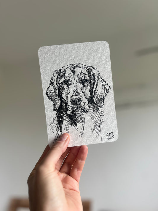 Goldie oldie postcard