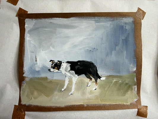 Border Collie cigarette card ORIGINAL