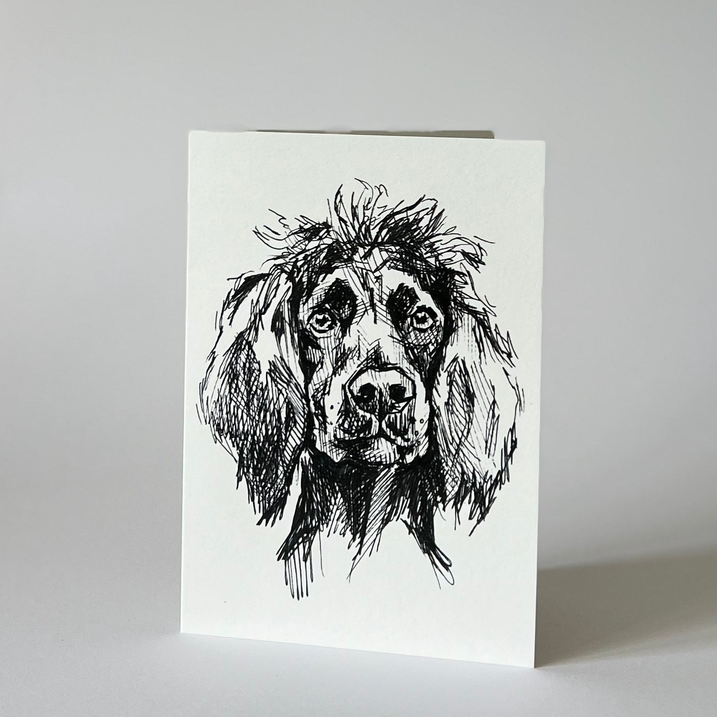 Working Spaniel greetings card