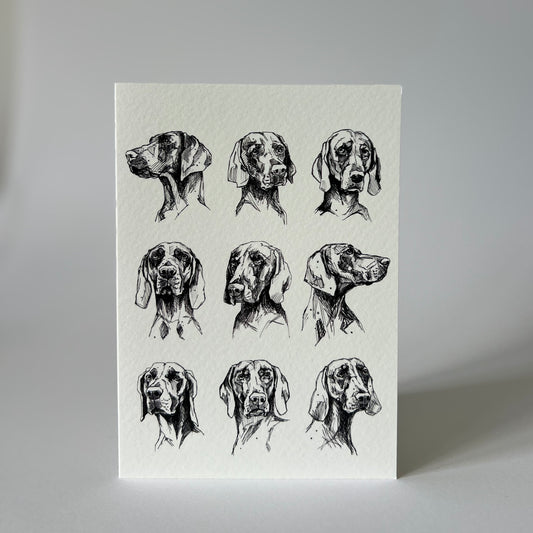 Many Weimaraners greetings card