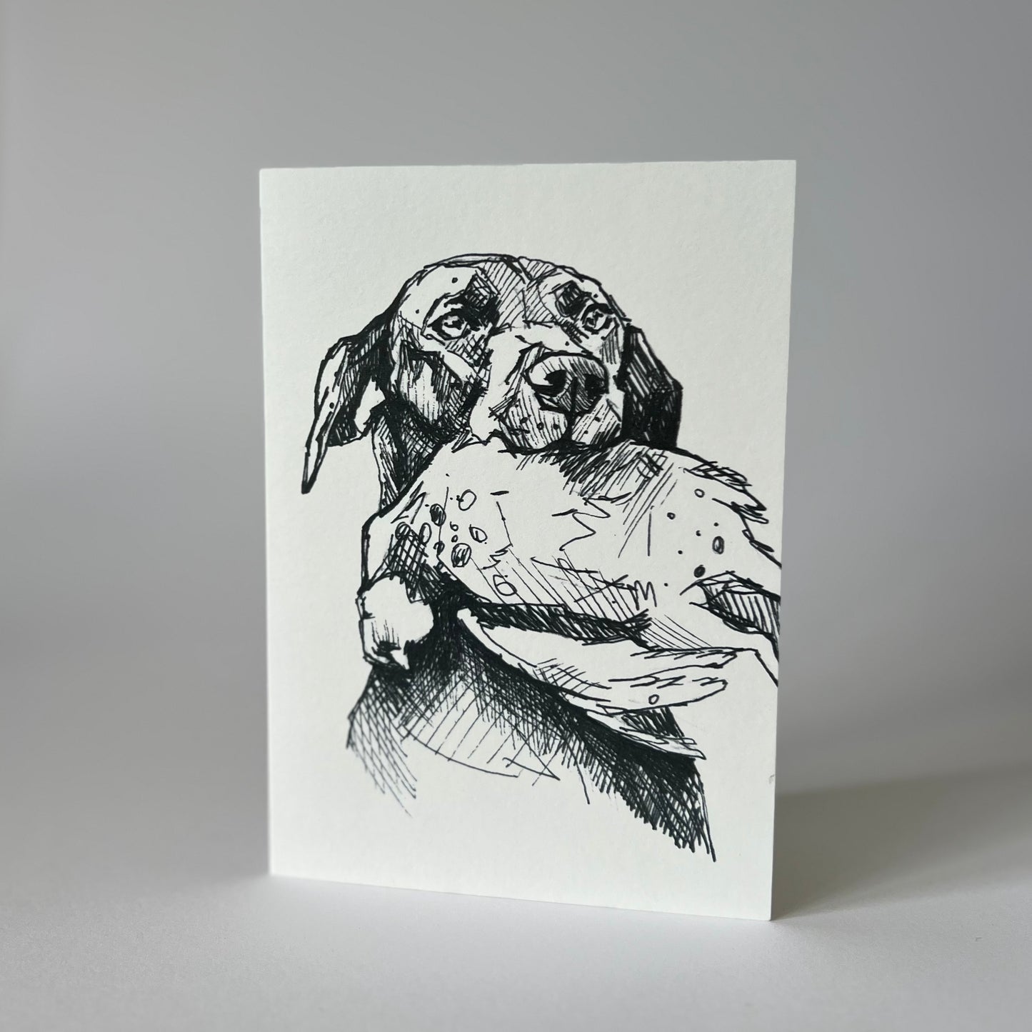Labrador greetings card