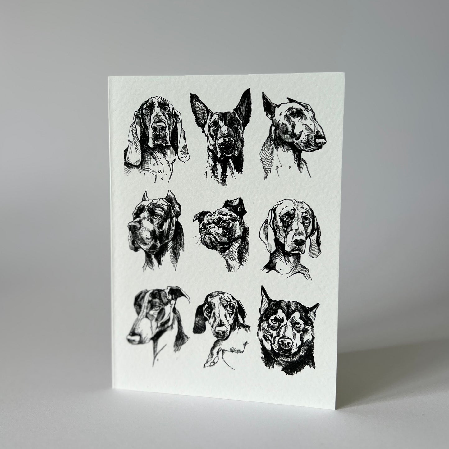 Naughty little dogs greetings card