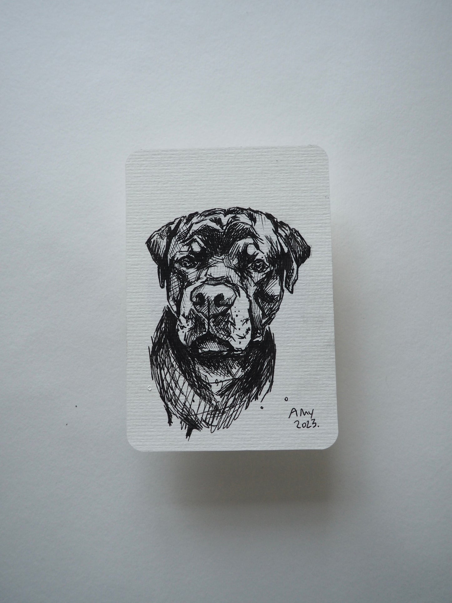 10.5x15.0cm dog sketch commission