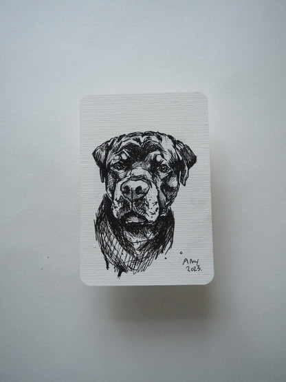 10.5x15.0cm dog sketch commission
