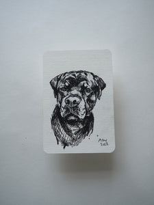 Bespoke puppy postcard