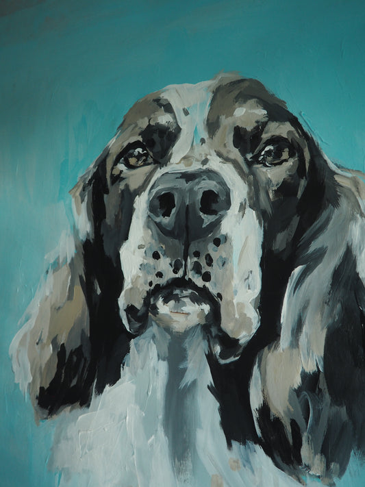 Em's spaniel