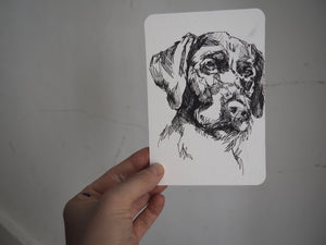 Pup postcard in pen