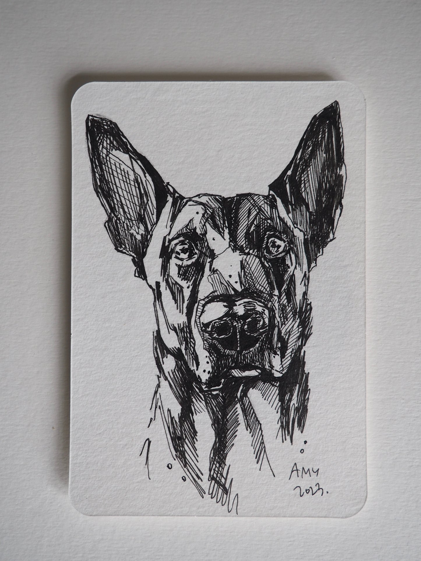 pen sketch of a working dog on a small postcard