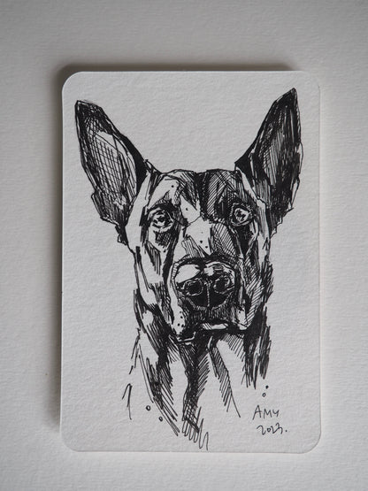 pen sketch of a working dog on a small postcard