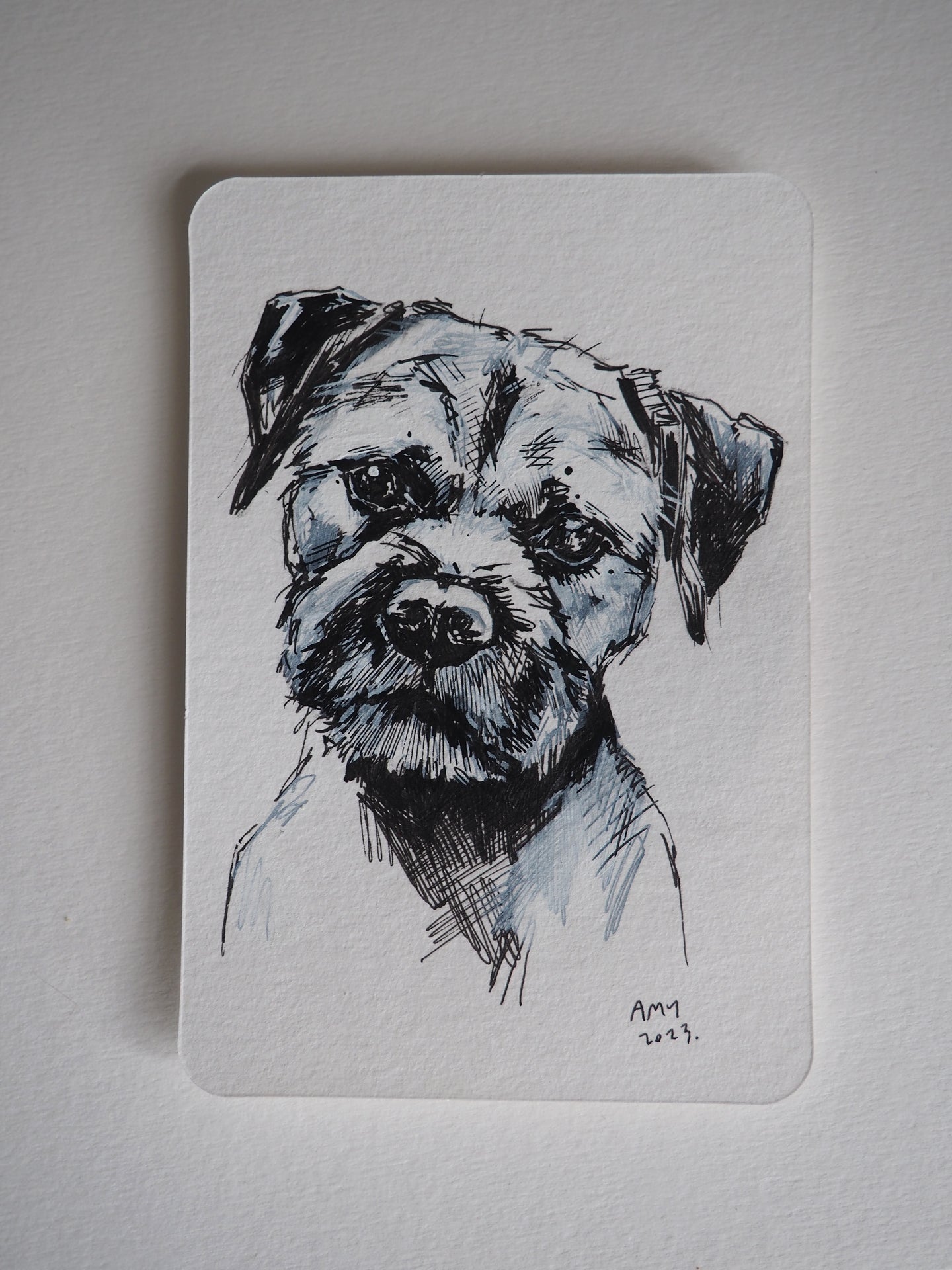 Pup postcard in pen