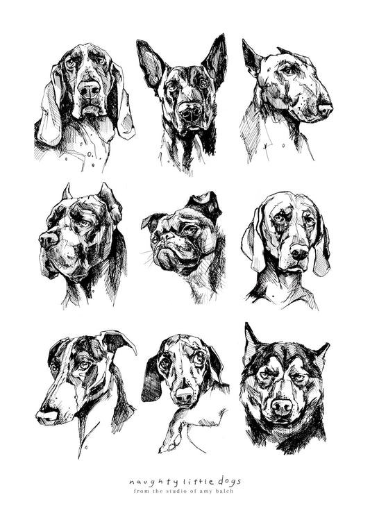 Naughty little dogs poster