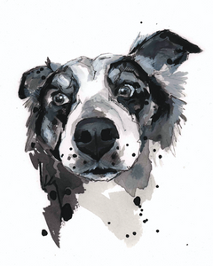 DAILY DOG COMMISSION